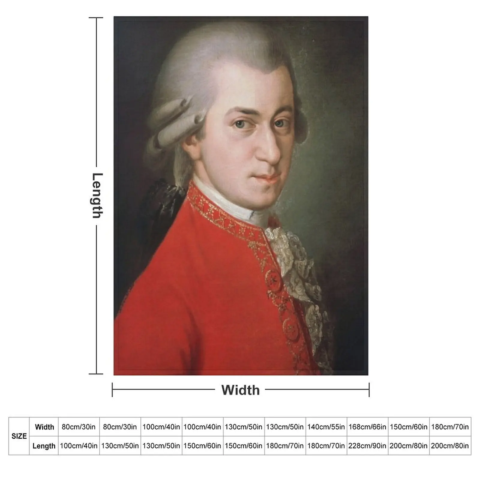 Wolfgang Amadeus Mozart Throw Blanket Thin Hairy Blankets