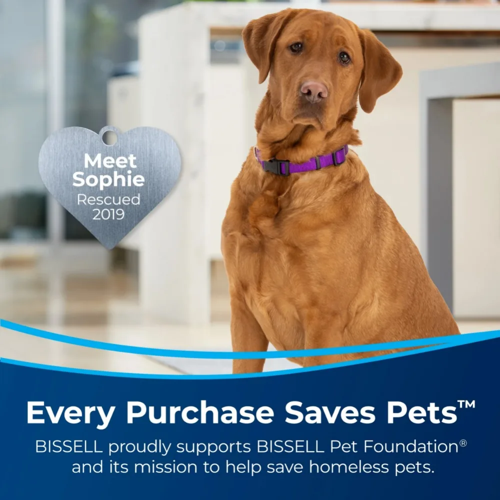 Helix Turbo Pet Standstaubsauger