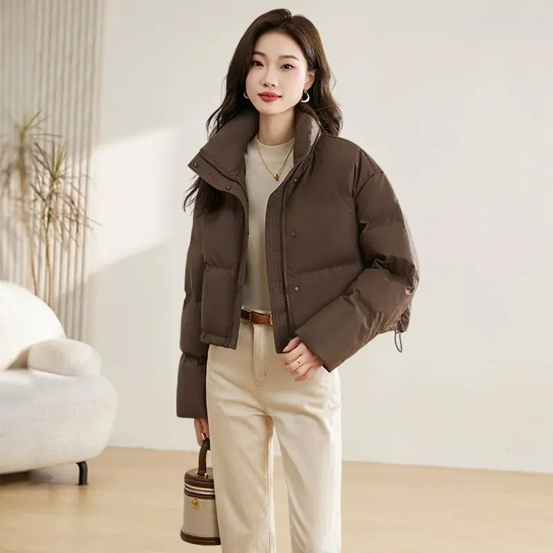 Winter Cropped Jacket Warm Parkas Stand-up Collar Chic Design Puffer Jacket Streetwear Long Sleeve Korean Loose Thick Coat Parka