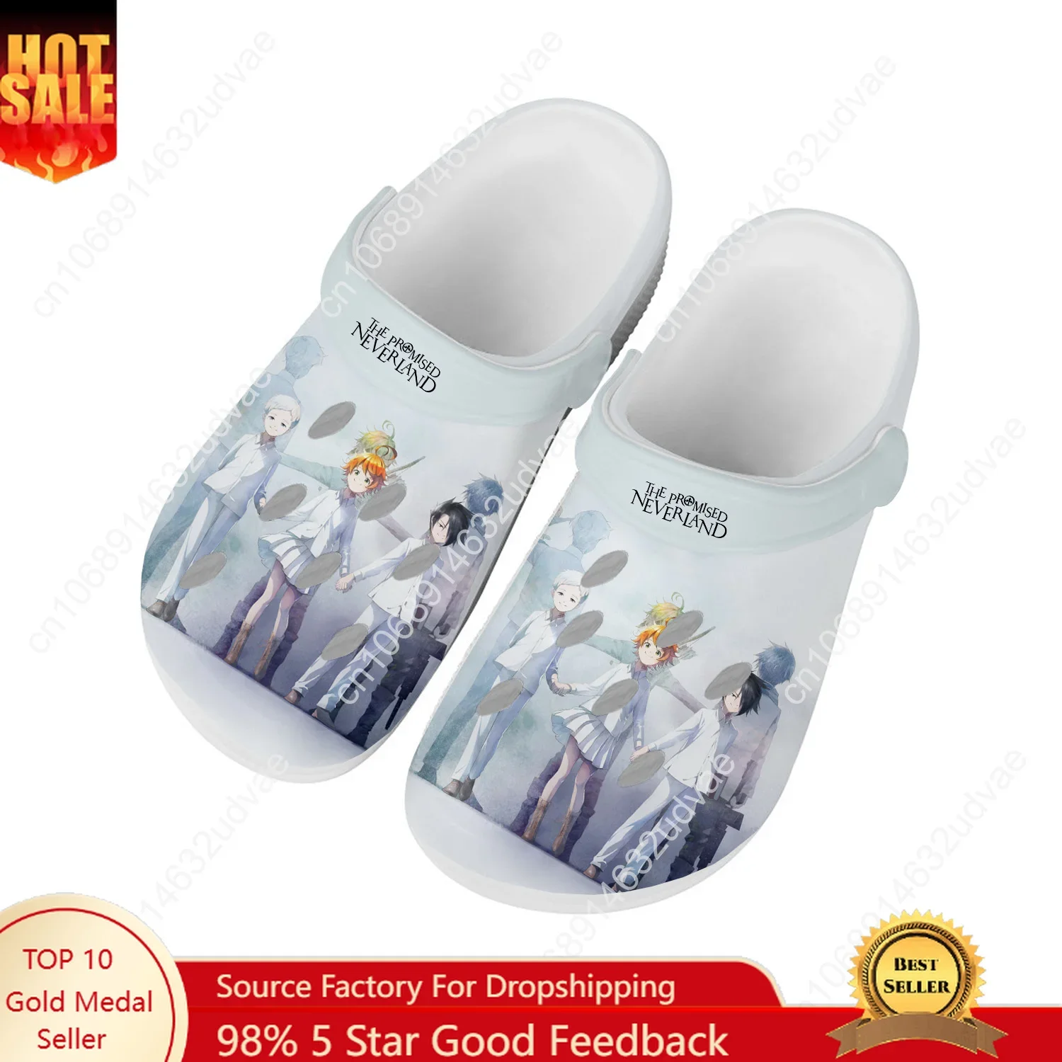 

The Promised Neverland Emma Water Shoe Men Womens High Quality Home Garden Clogs Customizd Sandals Beach Breathable Hole Slipper
