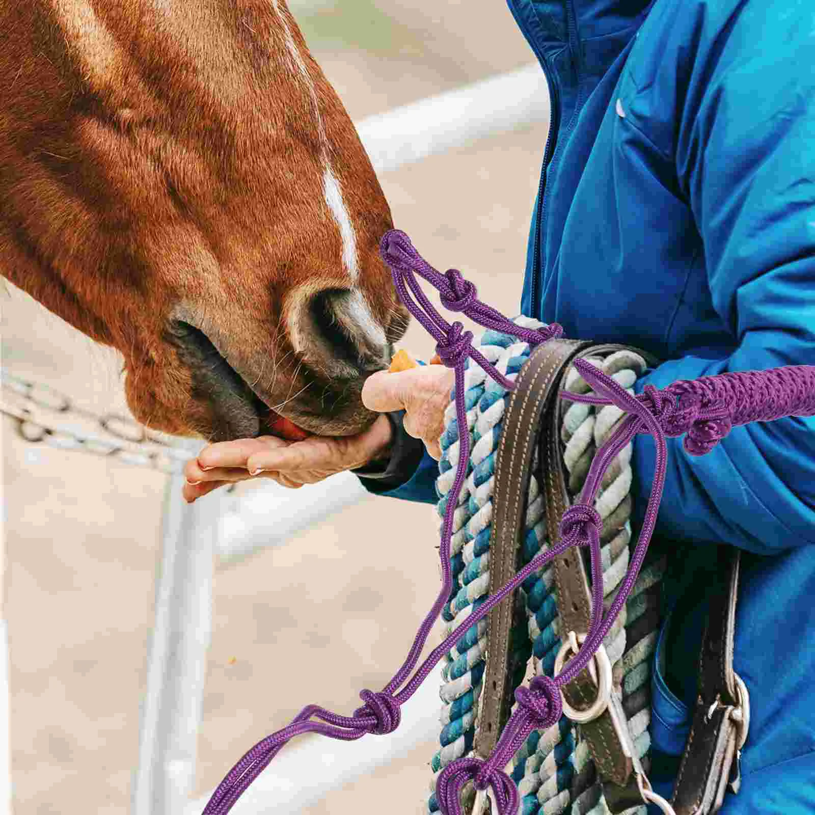 Cabestro de caballo trenzado portátil, nudo Halter de caballo, tela rígida, entrenamiento de arte, suministro de caballo, Color aleatorio