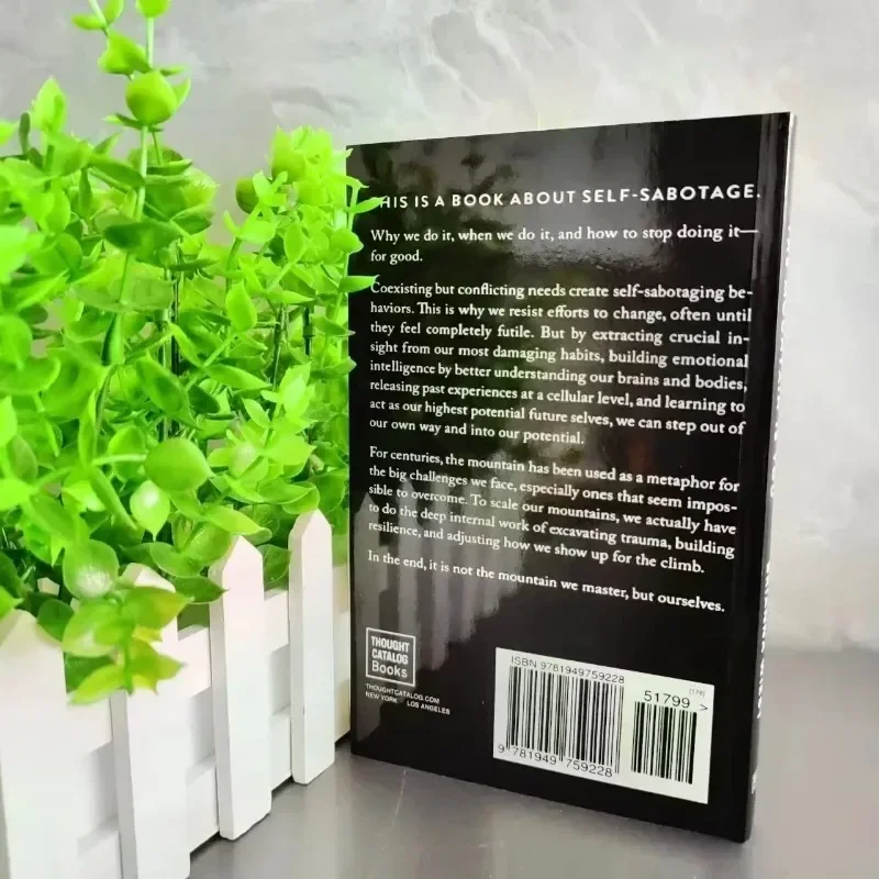 The Mountain Is You: Transforming Self-Sabotage Into Self-mastery English Books Birthday Gifts image 3