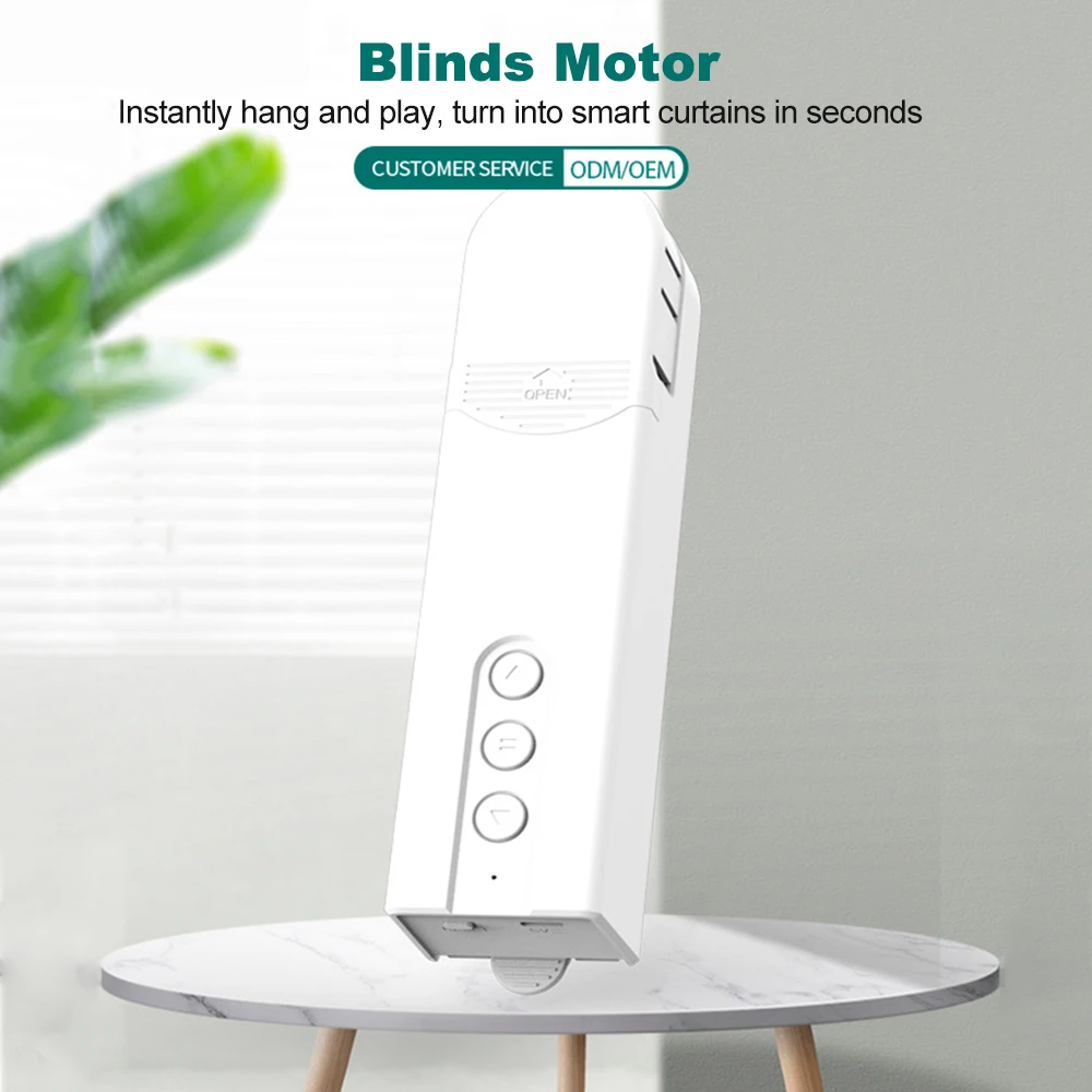 Motorized Blinds Drive Motor WiFi ZigBee Control Smart Chain Roller App Control Shade Timer Schedule with Remote Control