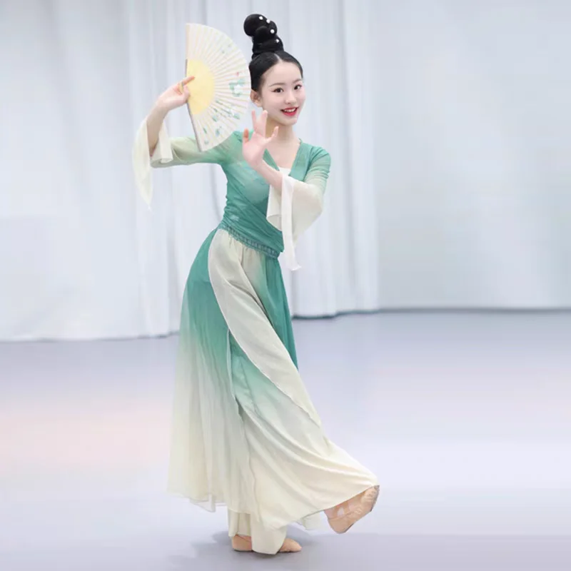 

Classical Dance Dress Long Gauze Clothes Chinese Classic Dance Performance Costumes Women's Performance Training Clothes