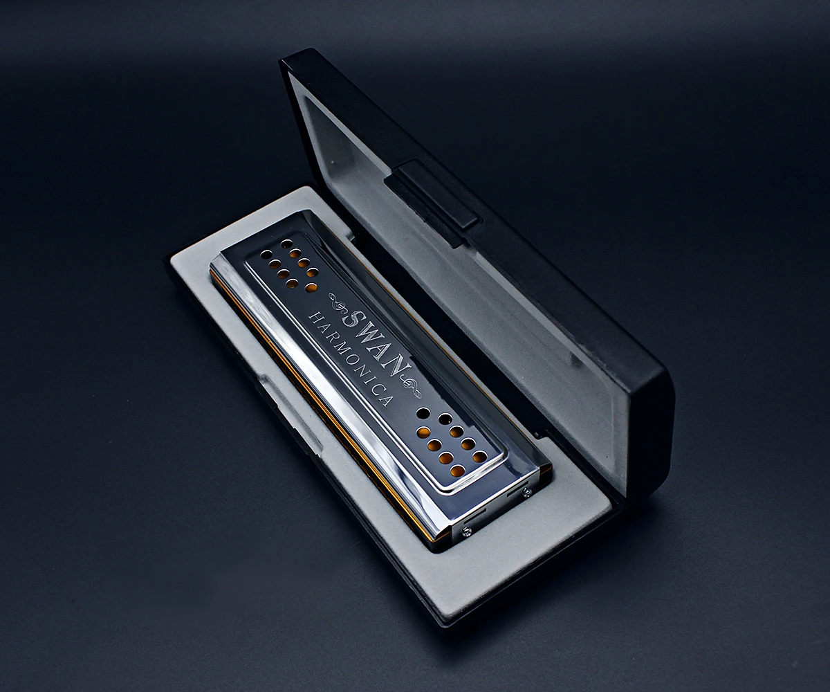 Silver 24-Hole Double-Sided Tr - Musical Instrument Lute recension och pris