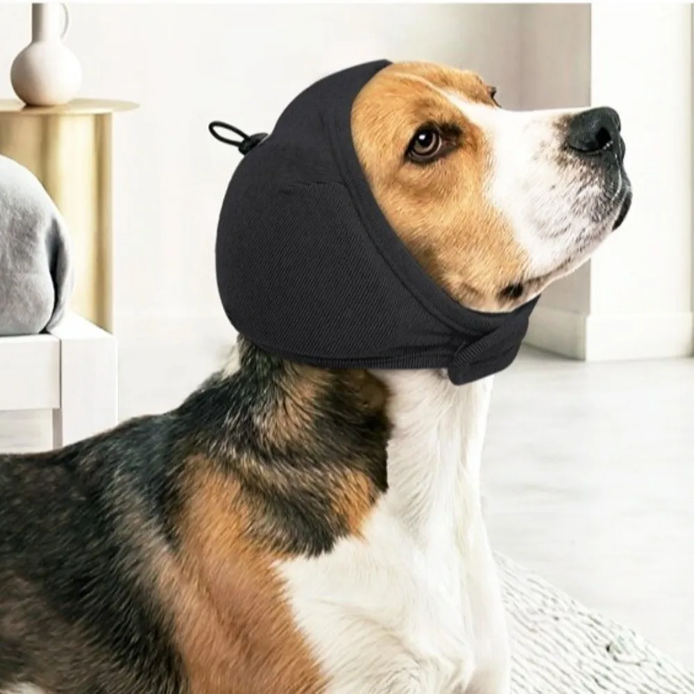 #32 Best Rated Puppy Walking Bags to Buy in 2026