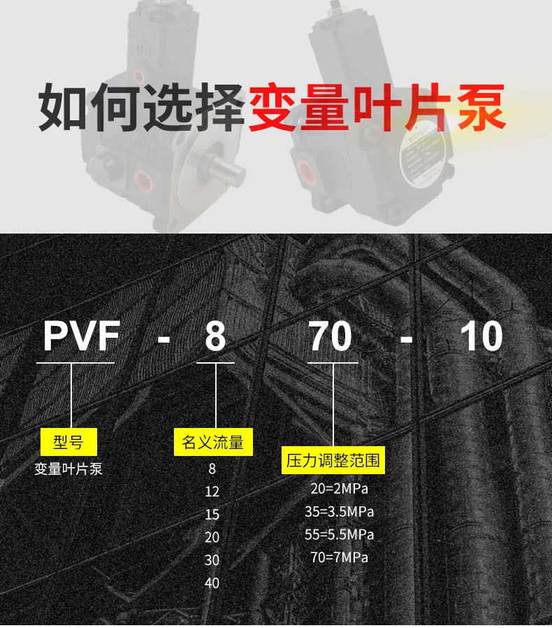 VD1 مضخة ريشة متغيرة VE1 VPS VPC SVPF PVF 8 12F 15F 20F 30F 40F-70-D