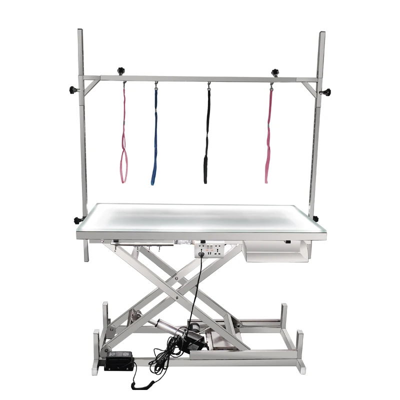 

Electric Grooming Elevated Table Pet Beauty Table With LED Light