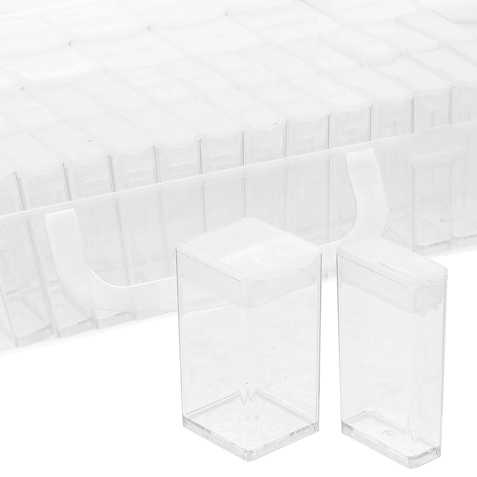 

1 Set Organizer Case Plant Vegetable Seeds Garden Organizer Divided Box For Seed Storage Transparent Plastic Portable Multi-Use