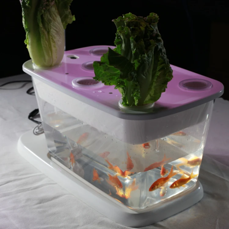 Table Aquaponic Vegetable Rack Kindergarten Decoration Home Office LED Grow Lights Fish Tank Micro-ecological System