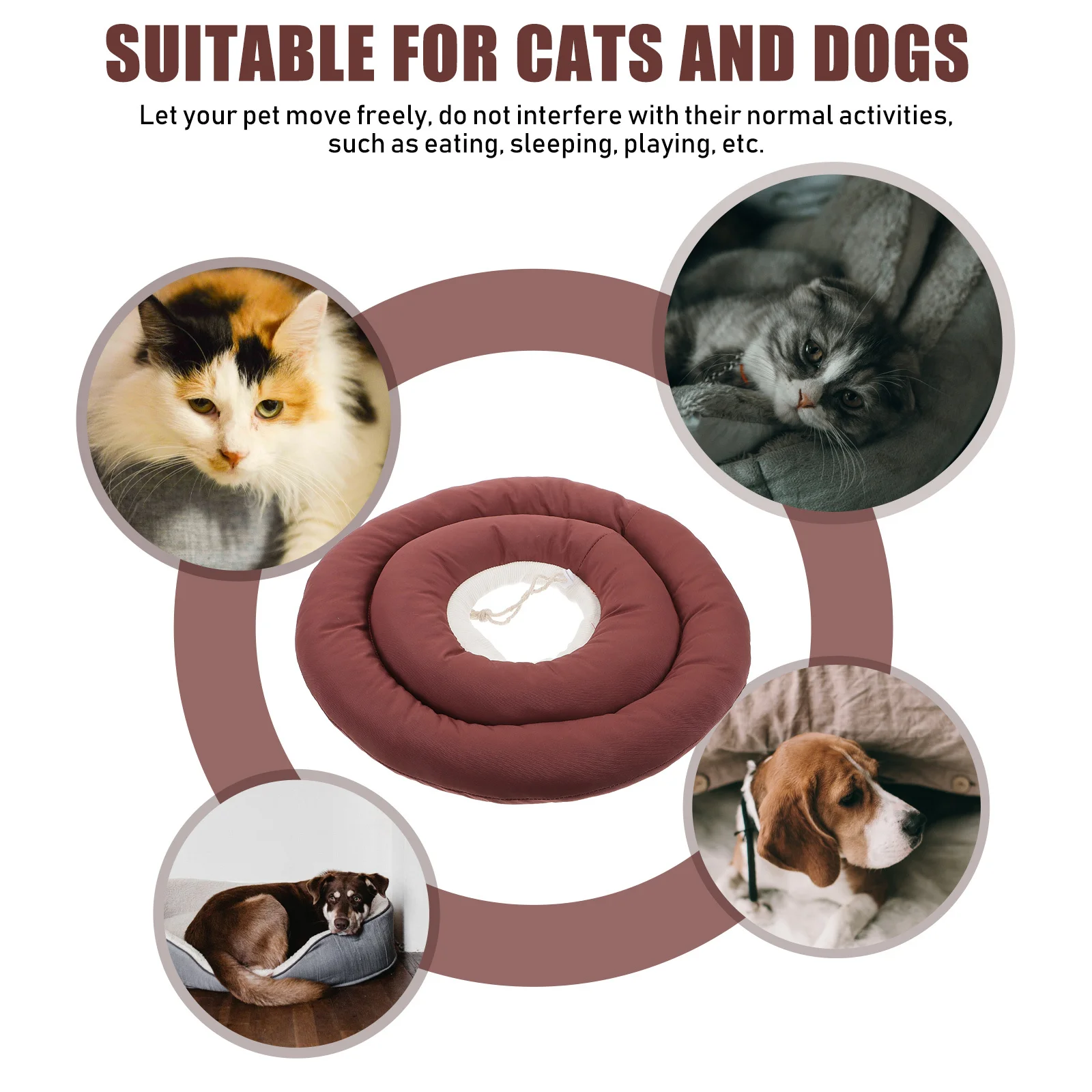 1 قطعة طوق الانتعاش القط المضادة للعض خدش واقية الحيوانات الأليفة الرقبة مخروط بعد الجراحة العناية بالجروح طوق استعادة القط