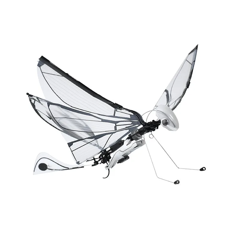 Remote Control Bionic Bird Flyer Flapping Wings Insect Bird Science Children's Small Toys