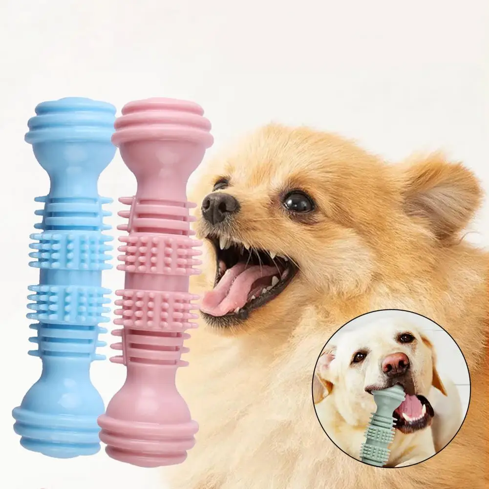 

Dog Grinding Toy Safe Pet Teeth Interactive Pet Chew Toy Soft TPR Cartoon Puppy Squeak Toys Bone Shape Products Dog Accessories