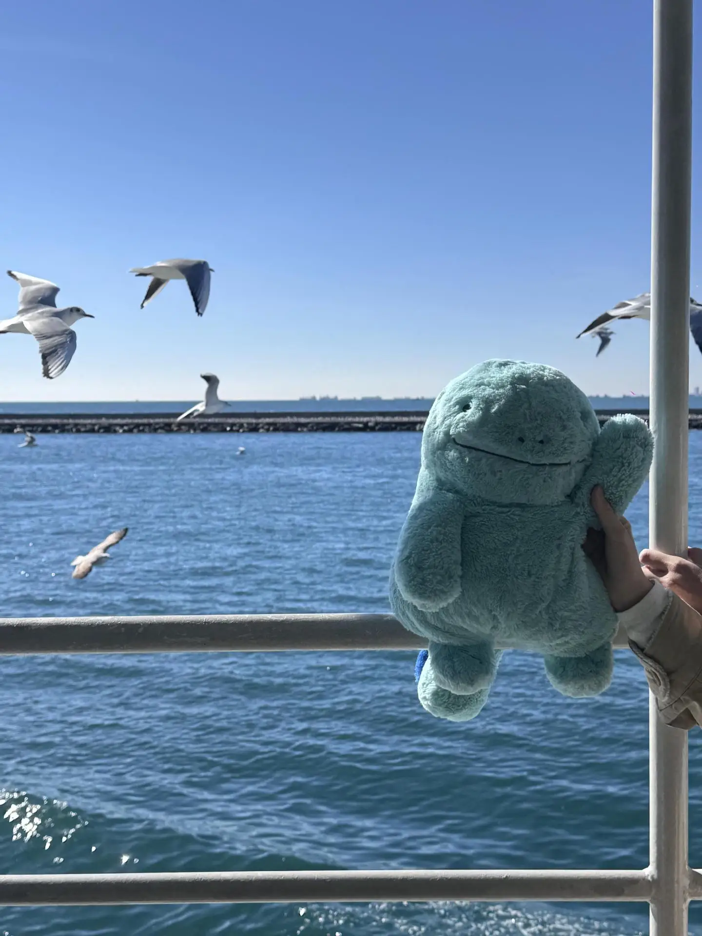 35/50/70cm Niedliches Taschenelf-Quagsire-Plüschtier, weiches, flauschiges Anime-Stofftier, Kawaii-Plüschkissen, Heim-Sofa-Deko, Geburtstagsgeschenk – Detail 10