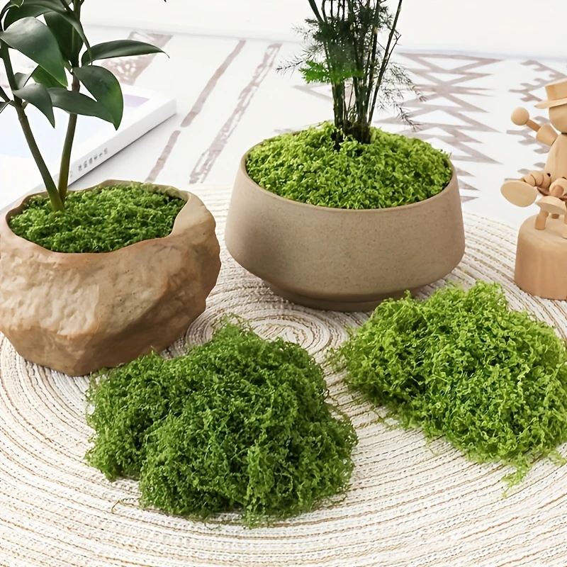 Newest 100/50/30g Artificial Green Plants Eternal Life Moss DIY Crafts Grass Garden Home Room Decor Mini Landscape Fake Grass