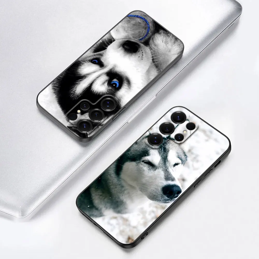 Custodia per cucciolo di animale Husky per Samsung Galaxy Note 20 Ultra 5G 10 Plus 9 Cover per telefono in TPU nero M12 J6 Plus J7 J8 J5 Prime