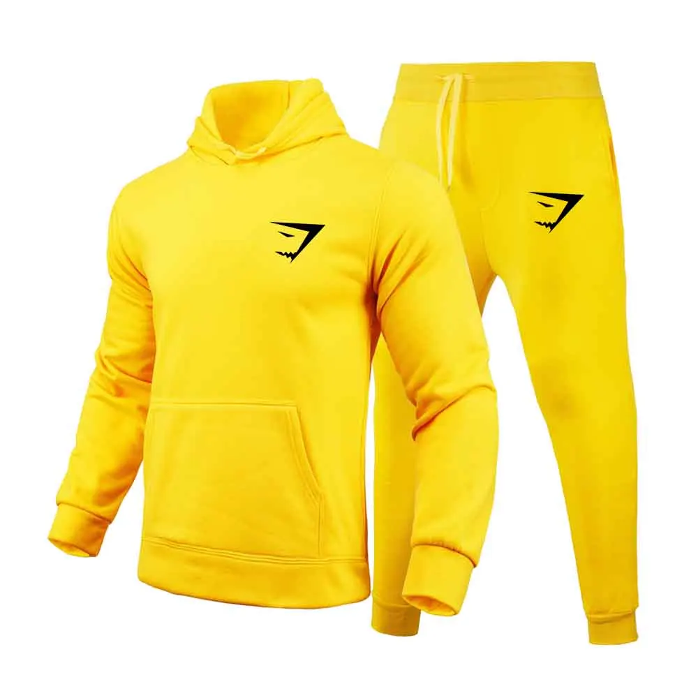 Brand Autumn Winter 2 Pieces Sets Tracksuit Hooded Sweatshirt +drawstring Pants Male Sport Hoodies Running Sportswear Men