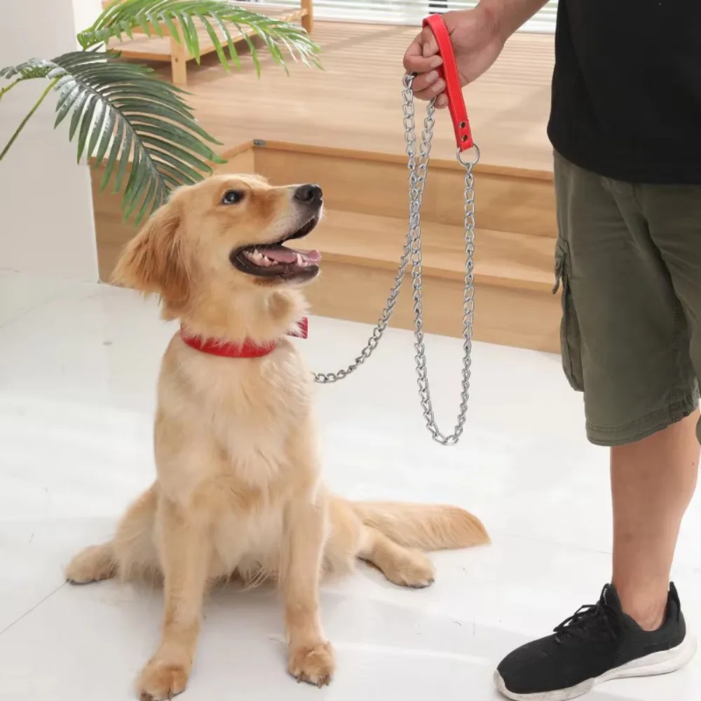 

Foam Collar Iron Dog Chain Bite Resistant Rust-proof Pet Dog Leash Anti-wear Adjustable Dog Traction Rope Retriever