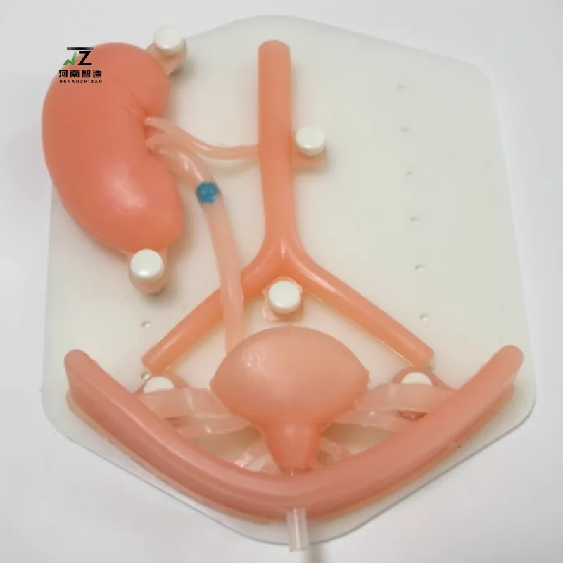 

Высококачественный учебный модуль урологической лапароскопии, медицинская учебная модель