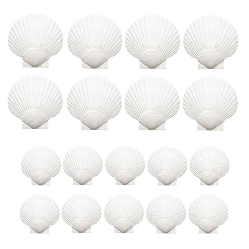

M-Modern-18PCS Natural Scallop Shells White Seashells Bulk For Crafts DIY Painting Baking For Baking Shells, Crafts DIY Painting