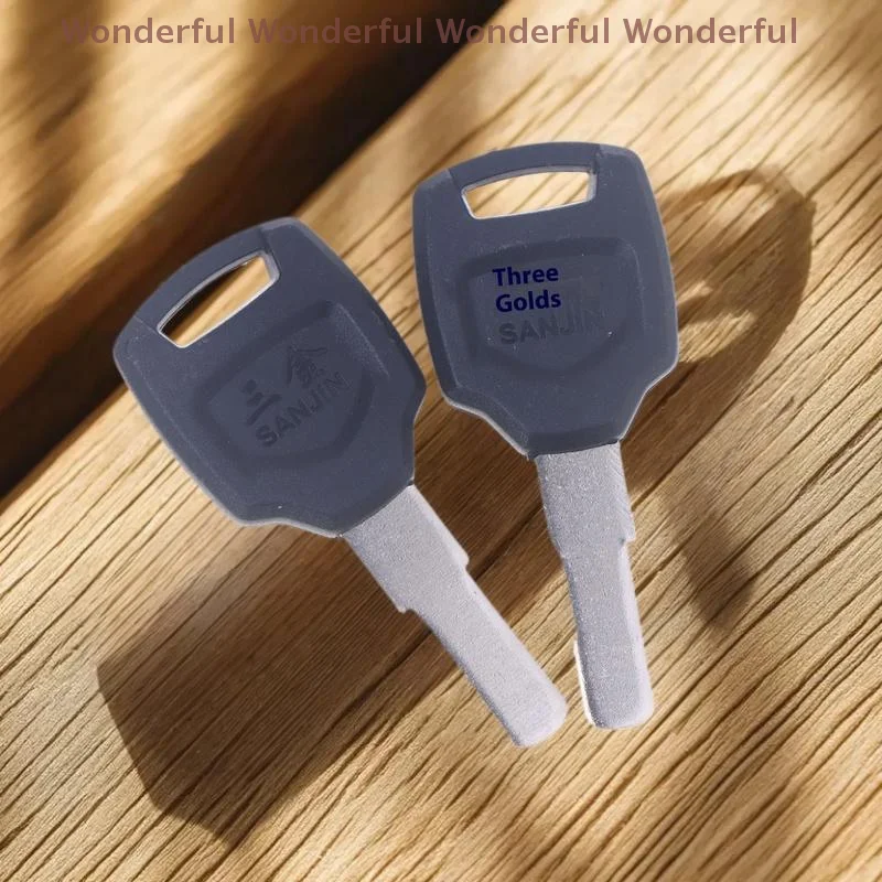 

Motorcycle Top Case Box, 2/10pcs RAW Key Embryo Blanks for Luggage Storage