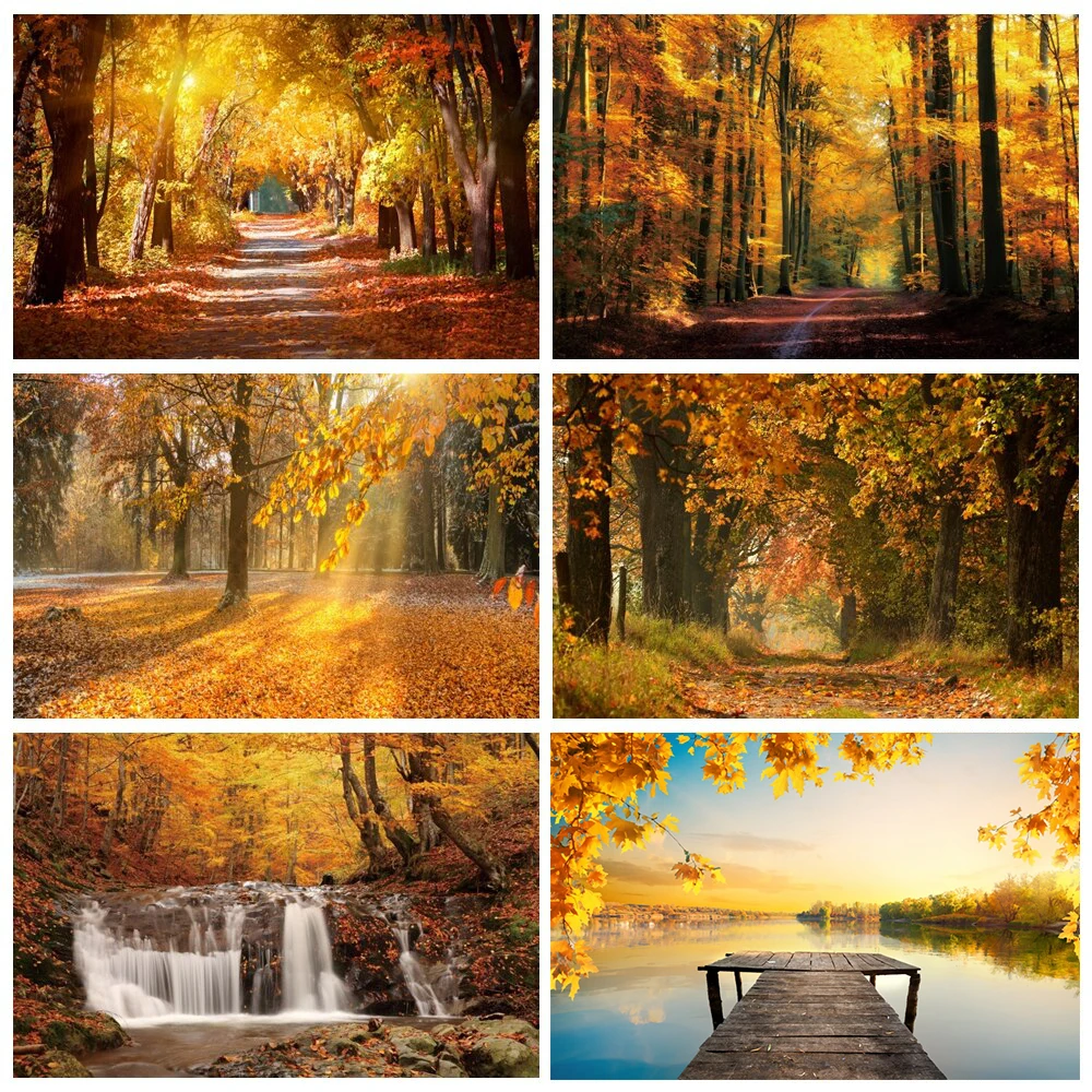 

Autumn Scenery Backdrop for Photography Fall Forest Fallen Leaves Pumpkin Natural Landscape Portrait Photo Background Studio