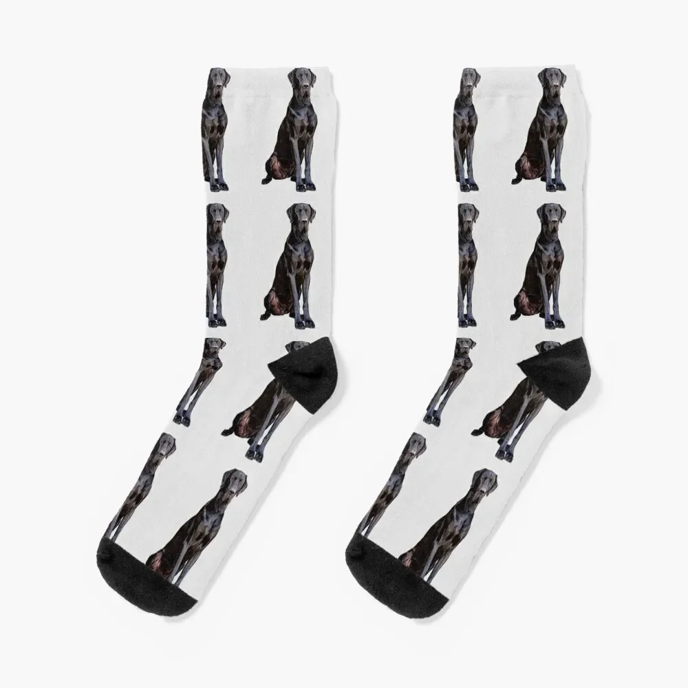 

Great Dane Stunning Black Dog of Elegance Socks gifts man Socks Male Women's