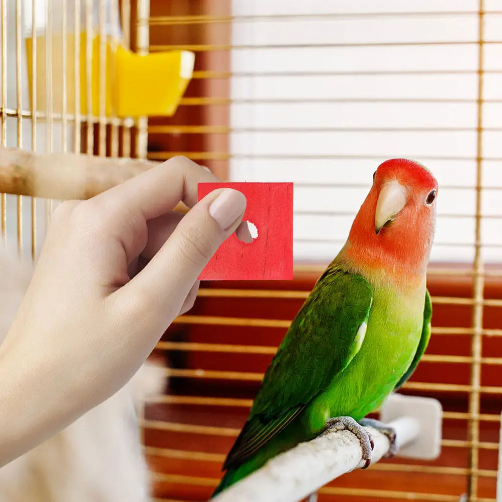 50Pcs Colorful Wooden Parrot Chewing Blocks Stimulate Visual Senses Promote Beak Grinding Foot Muscle Development Safe Bird Bite