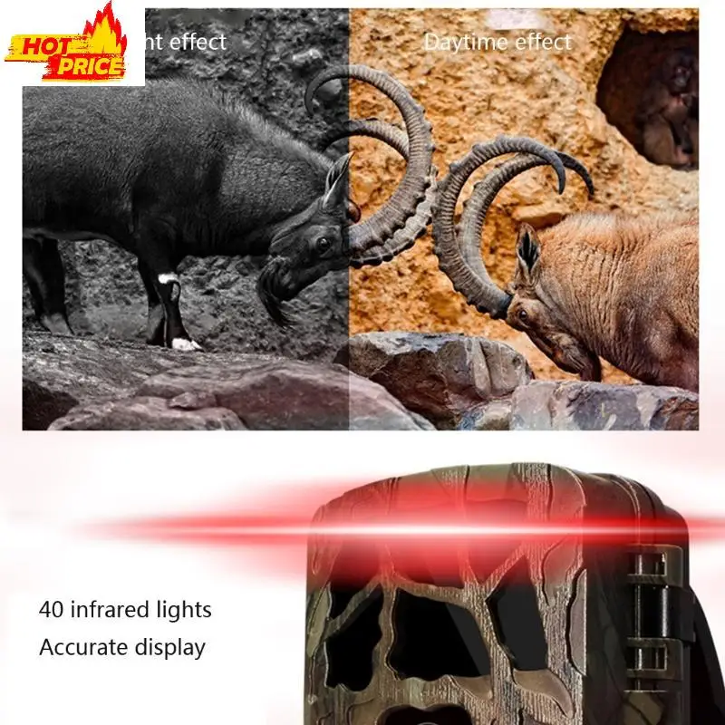 كاميرا الحياة البرية مقاومة للماء الكاميرا كاميرا واسعة الزاوية الزاوية بسرعة