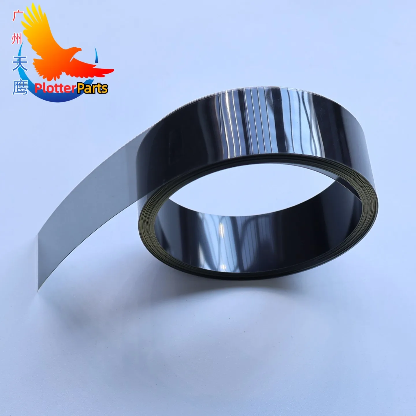 Encoder Strip Raste…