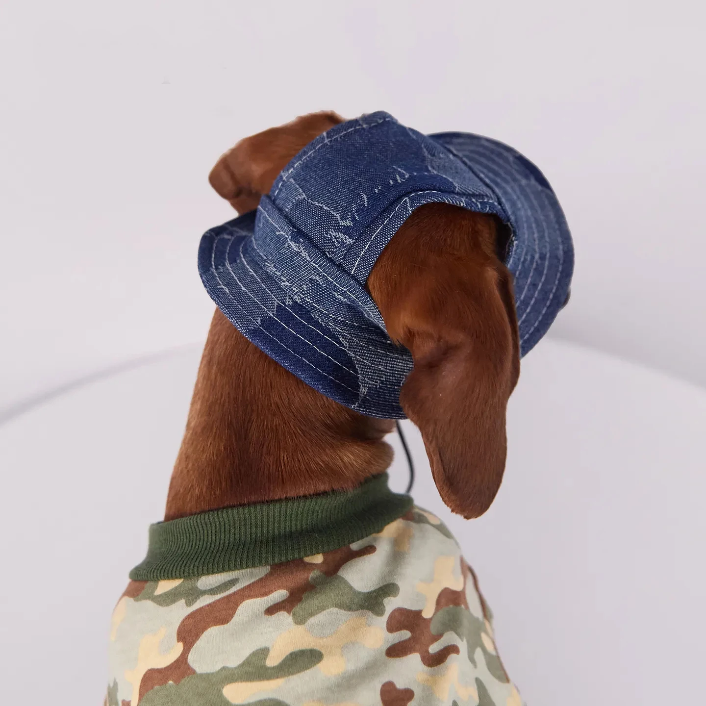 Gorra solar transpirable para perros pequeños y medianos