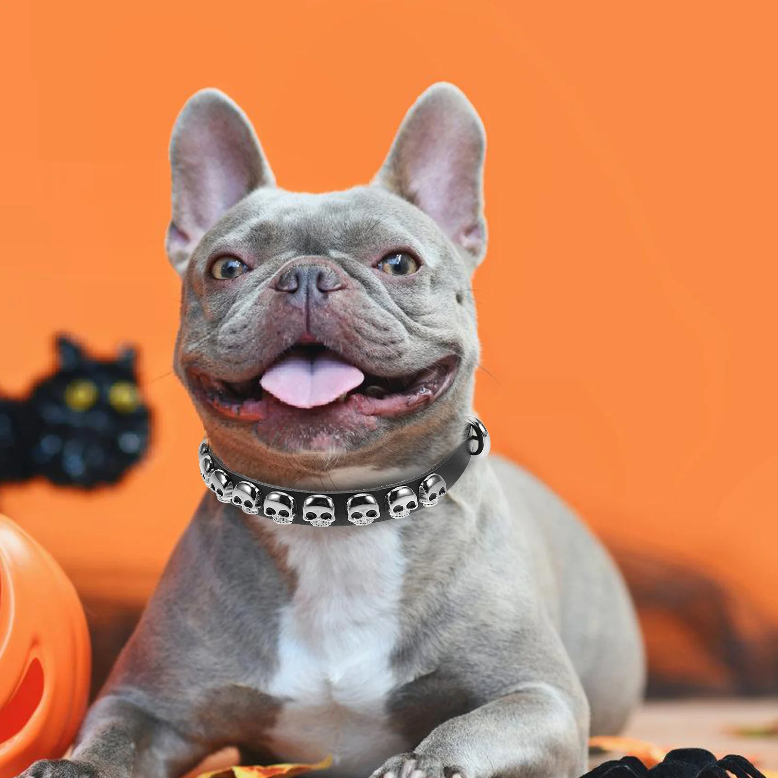 

Pet Collar Puppy Small Dog Halloween Cute Skull Neck Collars for Puppies Dogcollar