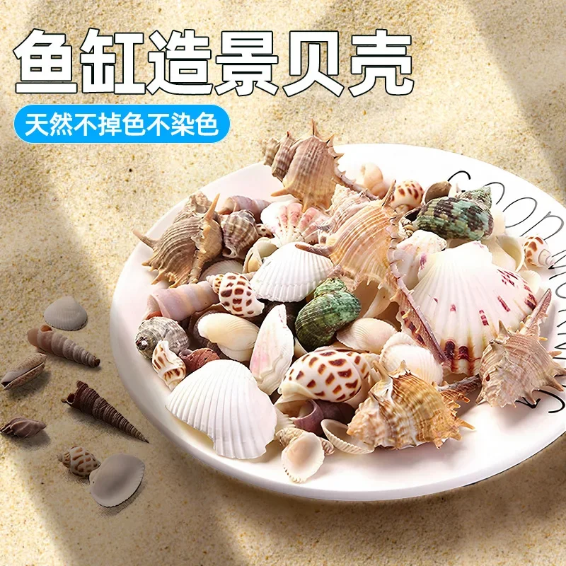 Natural Shell Conch Fish Tank Creative Landscaping Aquarium Full Set Starfish Hermit Crab Decoration Small Ornament