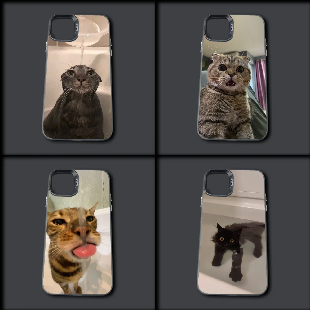 

Pet Cat Funny memes Phone Case For iPhone 16,15,14,13,12,11,Mini,Pro,MAX Gray Drop Matte Shockproof Soft Cover