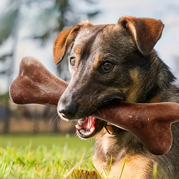 Dog Durable Beef Flavored Chew Toy, Bone Shaped Dog Interactive Play Toy, Teeth Clean Training Toy Pet Supplies 1