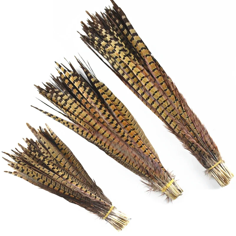 Natural Ringneck Pheasant Feathers for Needlework Crafts on The Head 10-75cm Long Feather Tail Carnival Accessories Decoration