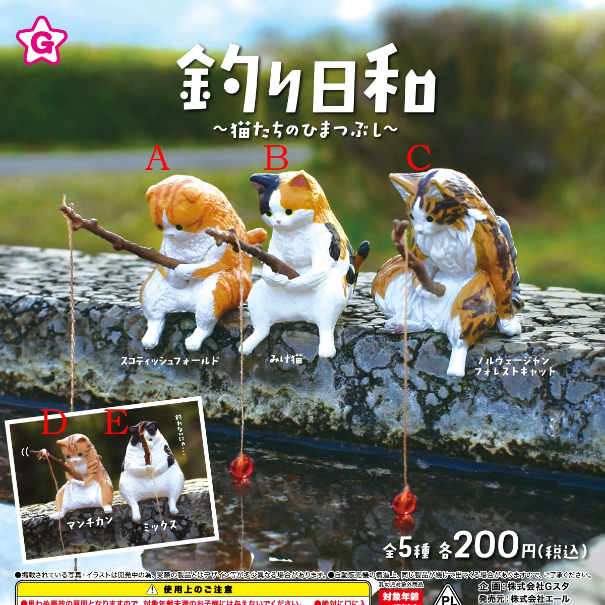 Japan genuine capsule toys cute Ragdoll Exotic shorthair calico Scottish Fold Bobtail Korat orange cat fishing gashapon figures