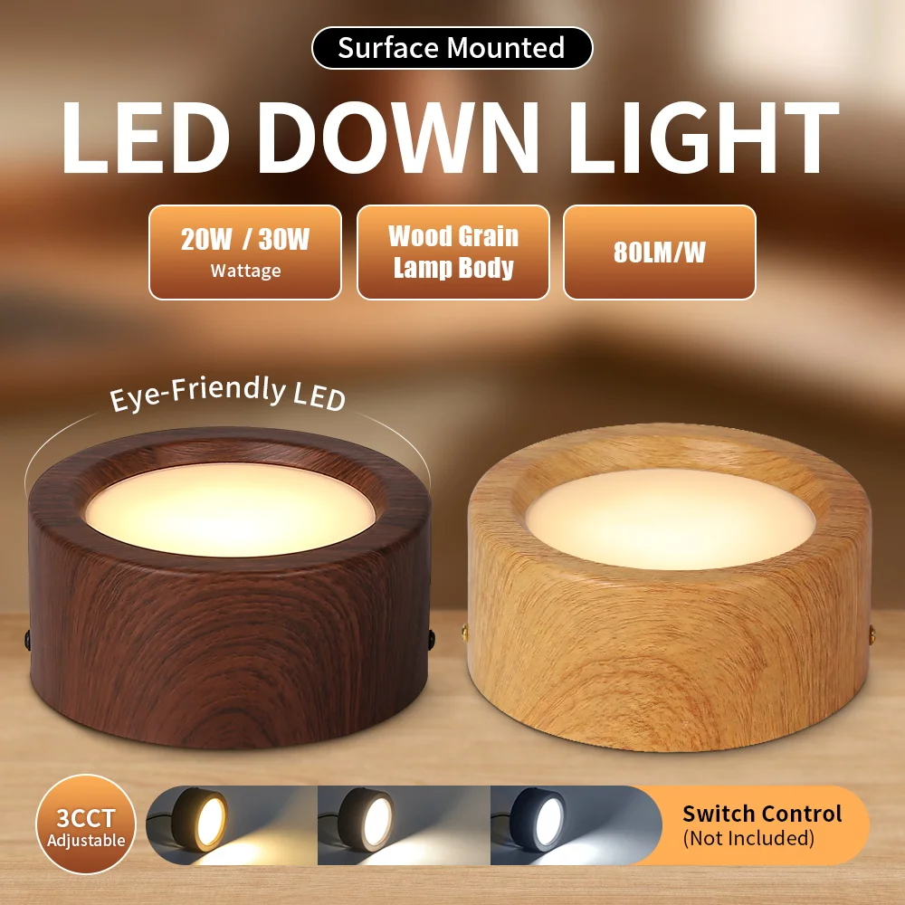 220V Downlight Led Ceiling Lamp Memory Function 3 Colors Change Spotlight Led Down Light for Living Room Kitchen Lights LED Spot