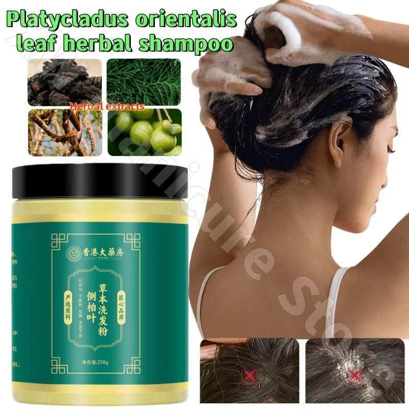Arborvitae Leaf Shampoo Powder Herbal Hair Care Strengthening Hair Refreshing and Fluffy Hair Treatment Powder 250g