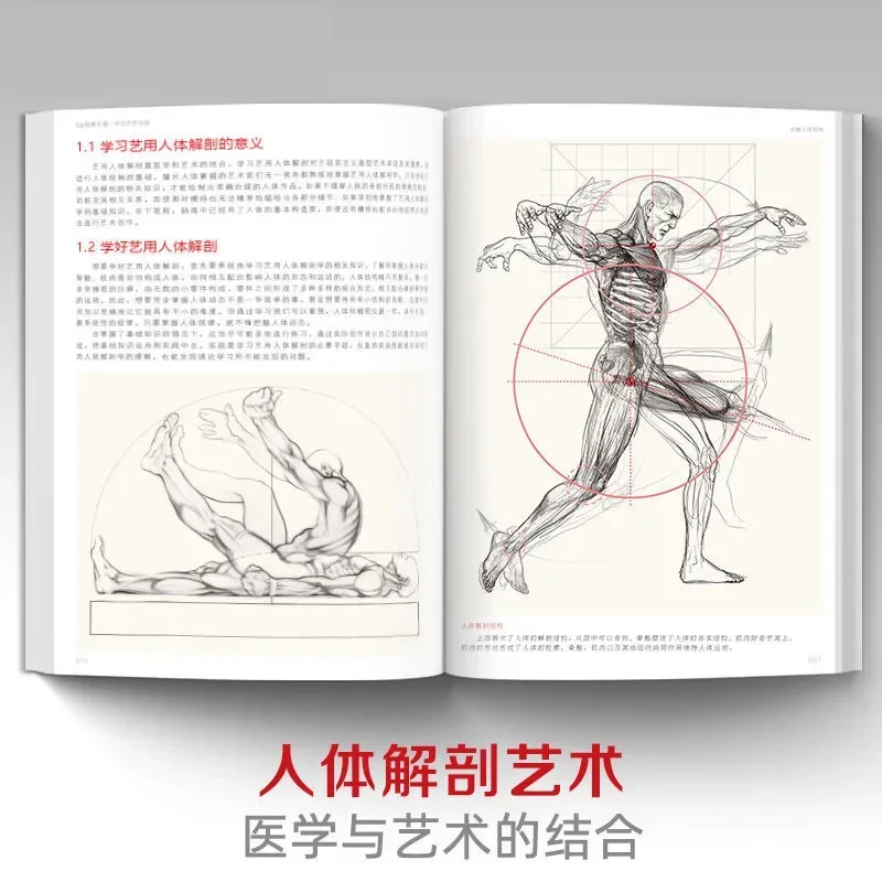 Artistic Study Human Body Sketch Tutorial Book with 2000 Anatomy Reference Books The Art of Human Body Structure Analysis