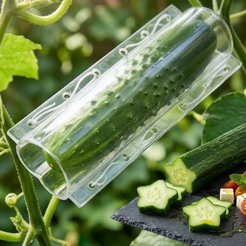 Transparent Cucumber Growth Shaper Mold Star Heart Shape Vegetable Former Food Grade Plastic Garden Tool with SnapDesign Shaping
