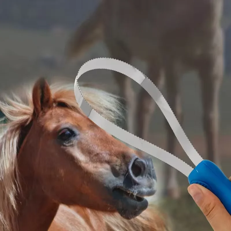 Stainless Steel Serrated Horse Shedding Scraper, Efficient Pet Hair Remover Grooming Brush for Horses, Dogs and Livestock
