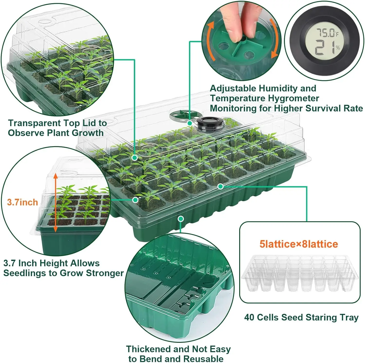 6個入り 240セル 植物育成トレイ 透明な蓋付き 室内苗温室 育苗ポット 種まきトレイ