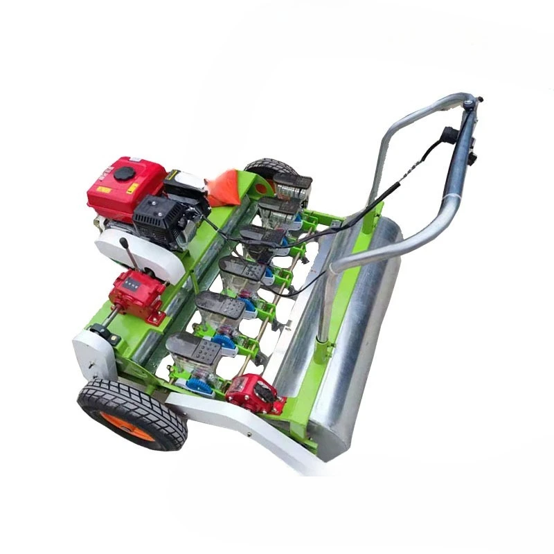 Cabbage broccoli leafy vegetable seeder coriander spinach green onion on demand machine