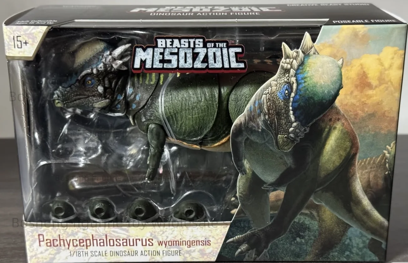 New Arrivals Beasts of The Mesozoic  Pachycephalosaurus Movable Dinosaur Model Collection Gift Hobby Valley Creatures