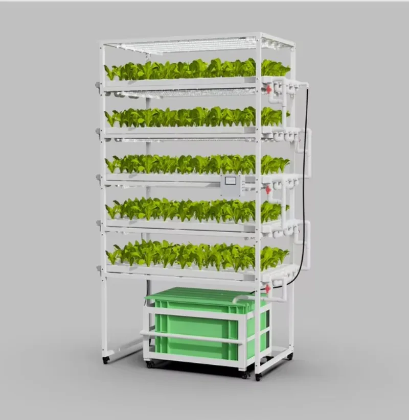 مجموعة النمو المائية للاستخدام المنزلي والتجزئة مع مكونات أساسية لمحرك المضخة للبستنة والزراعة #1