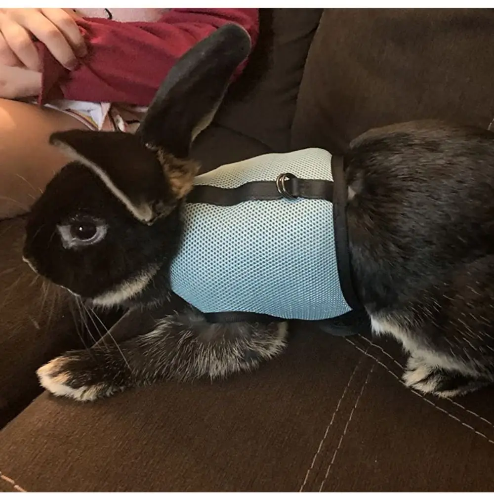 Mutil-Colors Rabbit Harness and Leash Set Breathable Stylish Pet Harness Soft Adjustable Pet Chest Strap Small Animal