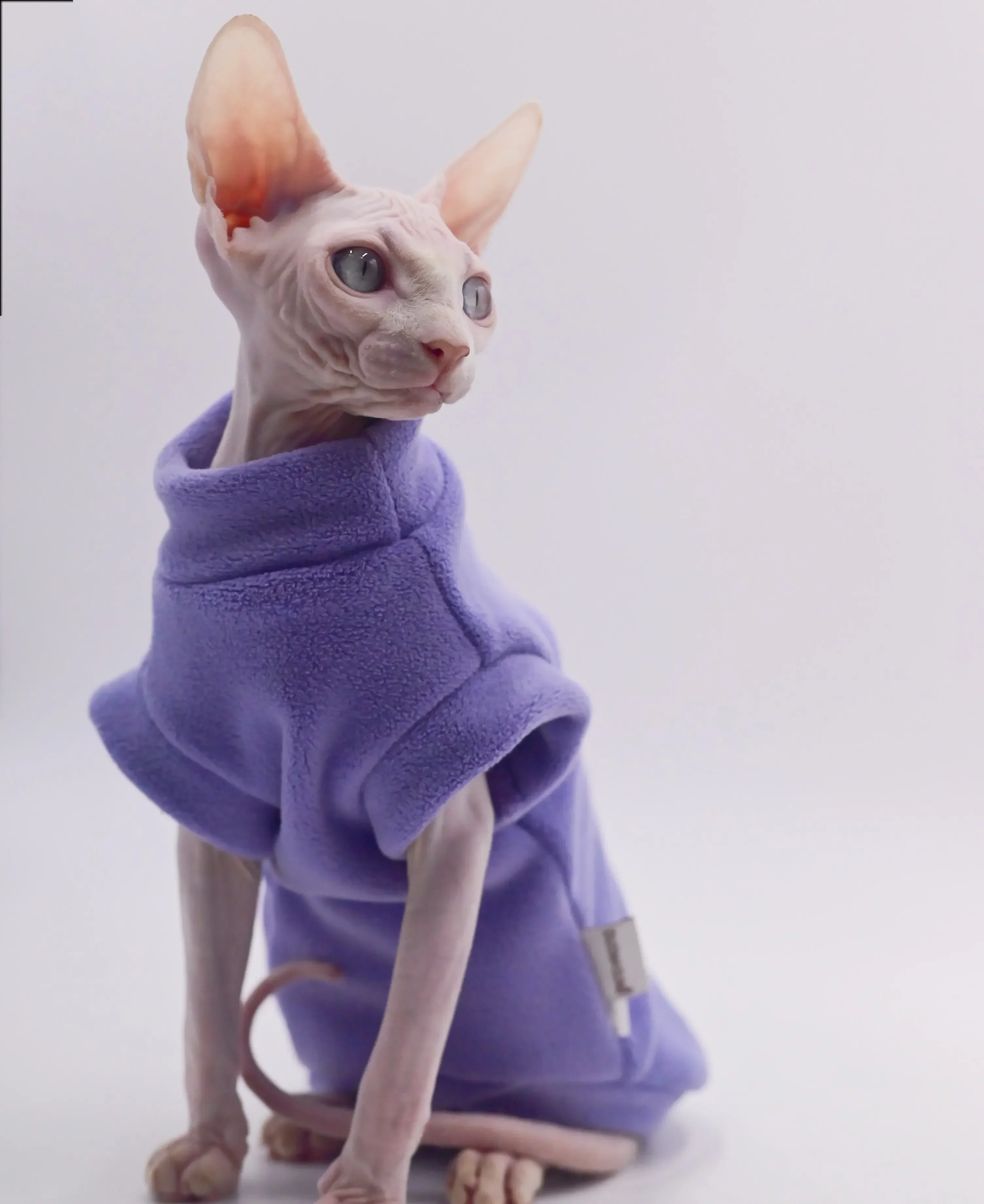 Stylowa bezwłosa kurtka puchowa dla kota-miękka, wygodna i zagęszczona ubrania dla kota dla kotów Sphynx i Devon Rex