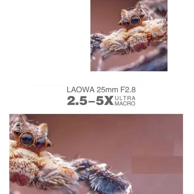 Venus Optics Laowa 25mm F2.8 تركيز يدوي كامل الإطار 2.5-5X عدسة ماكرو فائقة لسوني E، Canon RF EF، Nikon F، Leica L، Pentax K