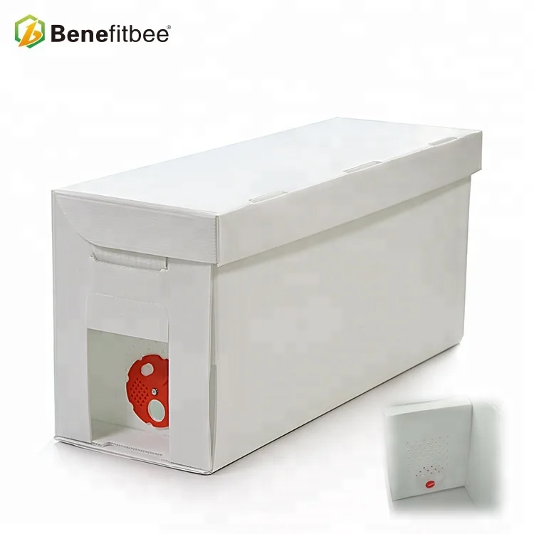 Corrugated PP Nuc Box 5 Frame Queen Bee Mating Box Corflute Plastic Bee Hive Lightweight Durable Beekeeping Equipment